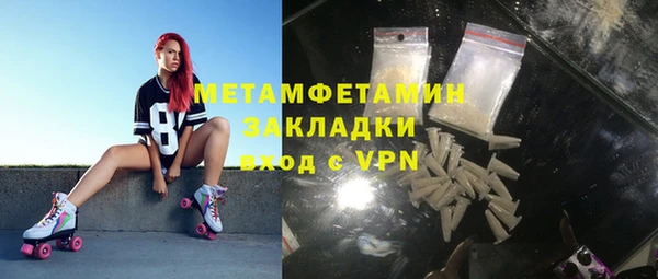 прущие грибы Куйбышев