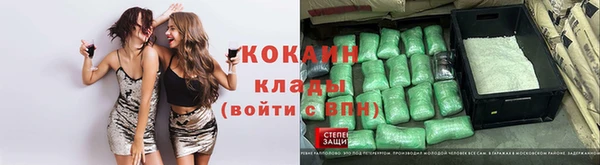 прущие грибы Куйбышев