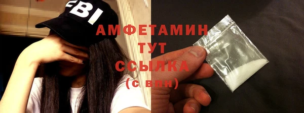 прущие грибы Куйбышев