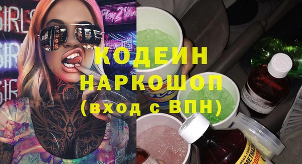 гашик Кулебаки