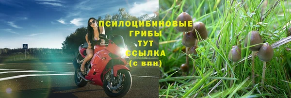 СК Краснослободск