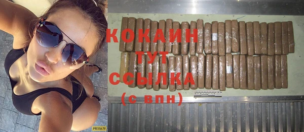гашик Кулебаки