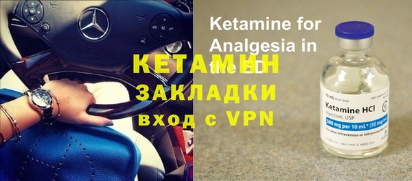 прущие грибы Куйбышев