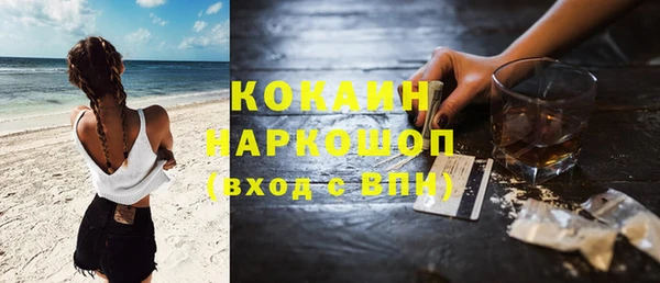 прущие грибы Куйбышев