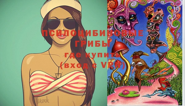 прущие грибы Куйбышев