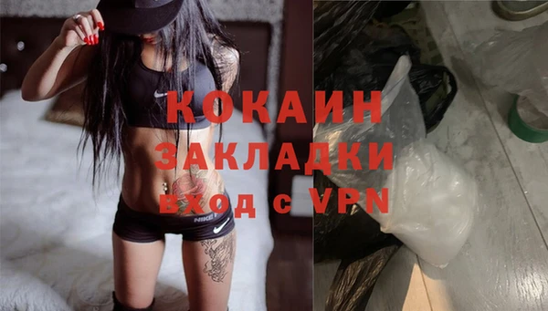 гашик Кулебаки