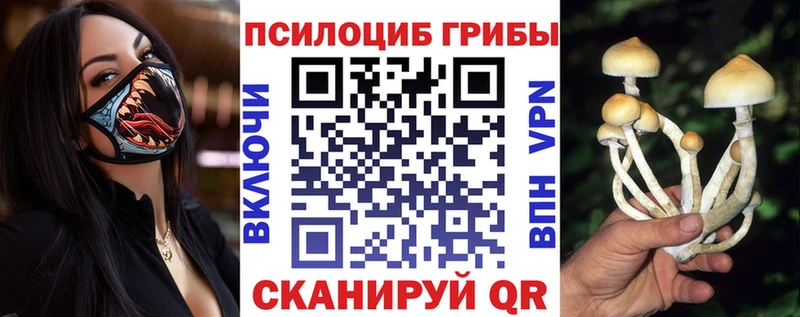 сколько стоит  Новоржев  Галлюциногенные грибы Psilocybine cubensis 