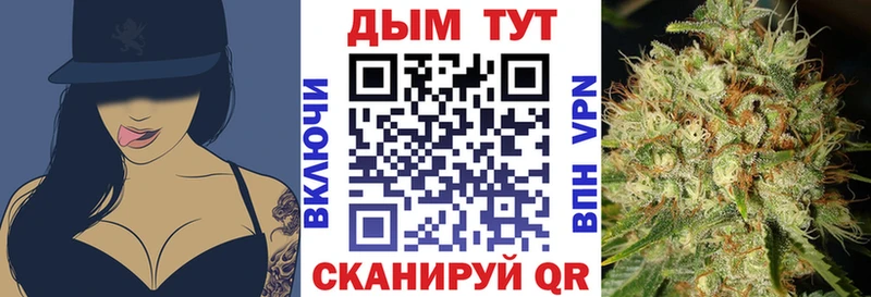 Марихуана SATIVA & INDICA  ссылка на мегу зеркало  Новоржев 